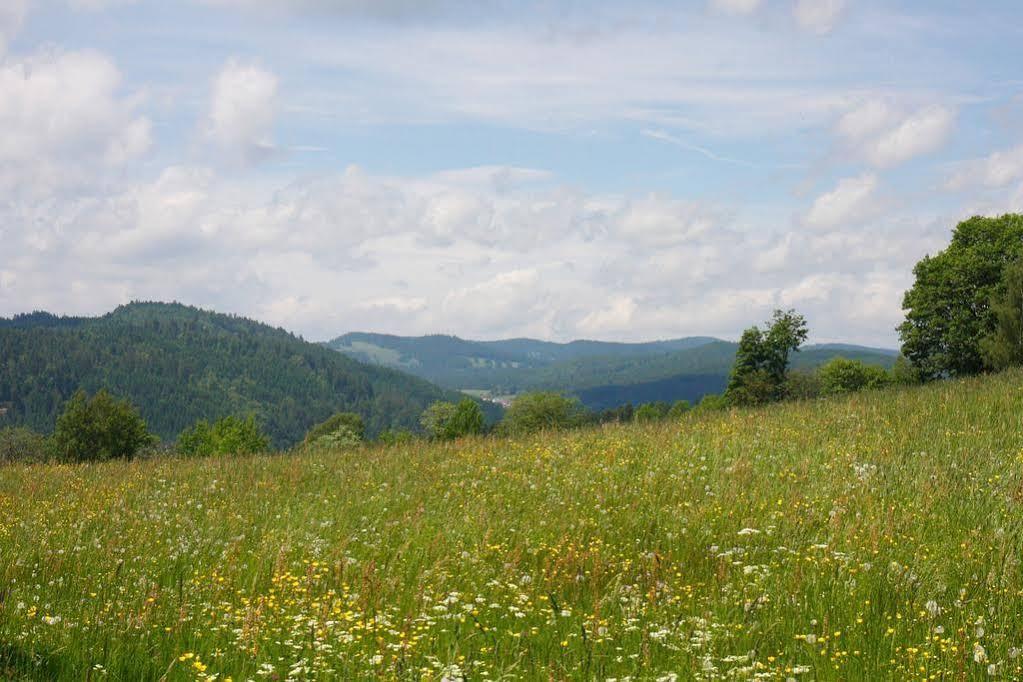 Parkhotel Waldlust Häusern Εξωτερικό φωτογραφία