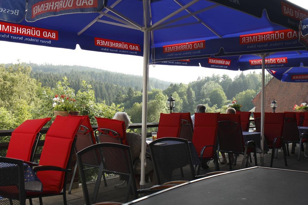 Parkhotel Waldlust Häusern Εξωτερικό φωτογραφία
